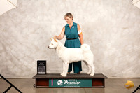 Akita #236 Sat COC Judge Mary Ellen Meyer