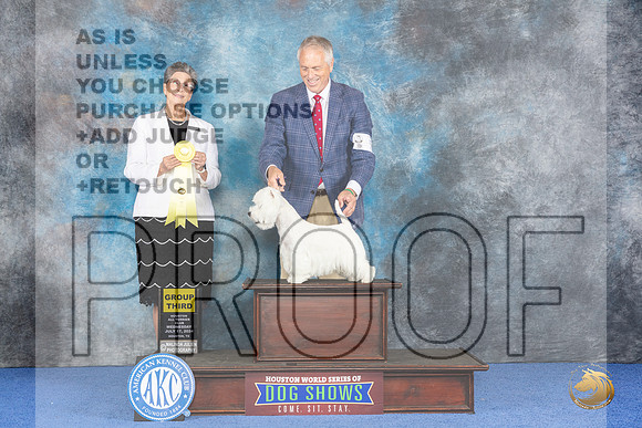 Westhighland White Terrier #5 WED G3 Judge Christine Erickson__JP_7001_Houston_2024_HR3