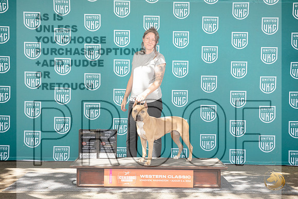 American Pitbull Terrier #323 Reserve TD Judge Matt Proctor__JP_1910_Longview WA_2024_HR3