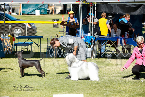 _JN_1619-AlamogordoOct2014-HR3