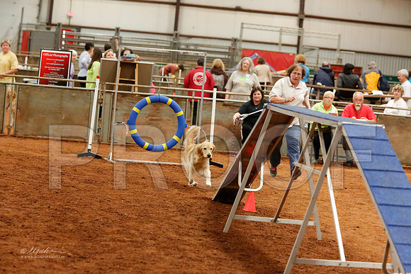 StdNov16-6606-WFOct2013-HR