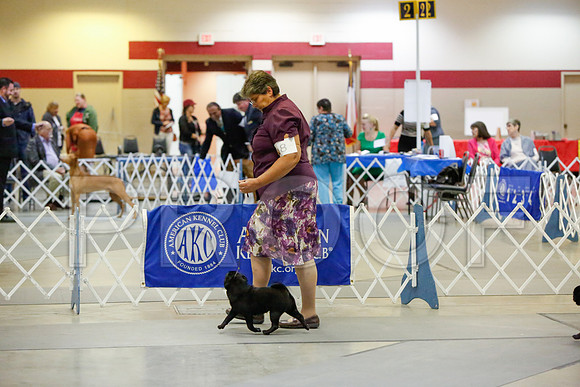 _JJ_1492-AmarilloSept2014-HR3