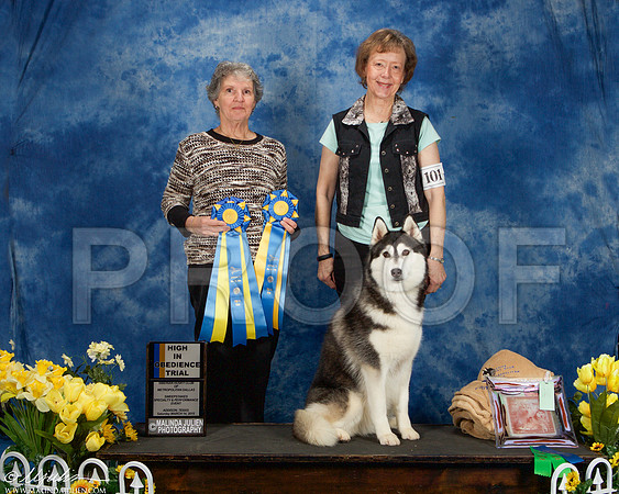 _ST_4102-AddisonHuskyMar2015-HR3