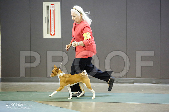 _JN_4381-BeltonJan2015-HR3