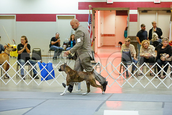 _JJ_3662-AmarilloSept2014-HR3