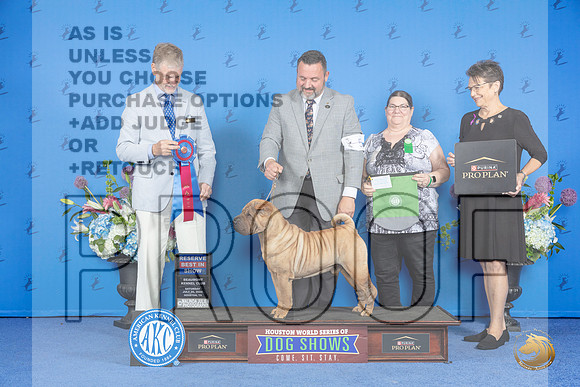 Shar Pei #5 Sat RBIS Judge Wood Warnall__JP_0006_Houston_2024_HR3