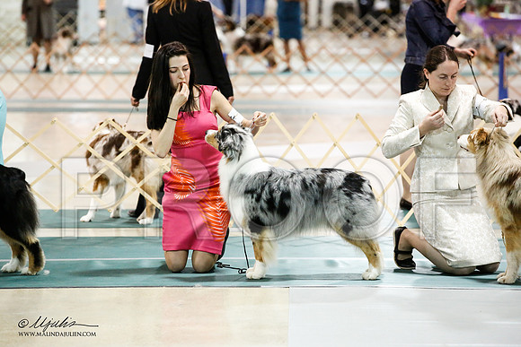 _JN_5069-ASCACollegeStationNov2014-HR3