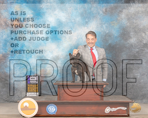 French Bulldog #50 Sat WB Judge Gary AndersenMMJ_4112_Mdlnd2022_HR3