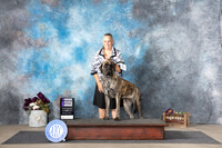 Mastiff #6 Sun WB Judge Eric Liebes