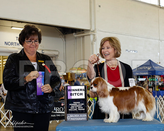 _CL_5487-2-DallasDec2014-HR3