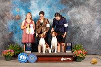 Brittany #6 #21 Fri BISweeps BOSSweeps Judge Connie Hinton