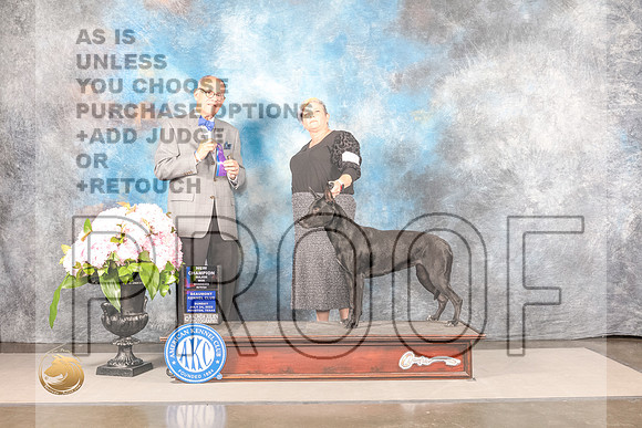 Xolo #8 Sun WD Judge Luis SosaXolo #8 Sun WD Judge Luis Sosa_MJ_7871_Houston_2022_HR3_Houston_2022_HR3