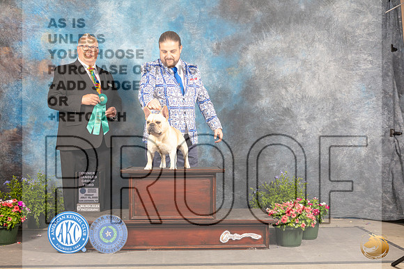 French Bulldog #25 Fri OHG3 Judge John Booth_MJ_0168_SA_2022_HR3