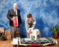 Bulldog #23 Sun G2 +A1