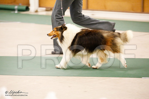 _JN_1669-NrmnNov2014-HR3