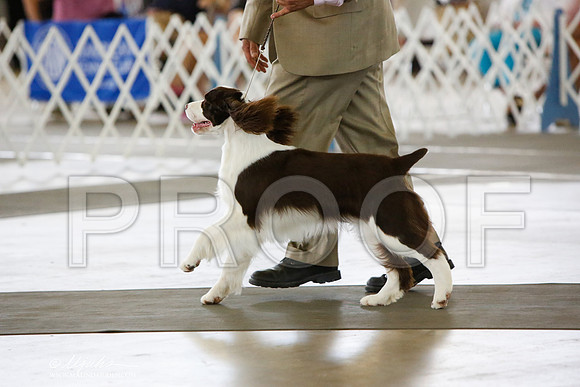 _JN_0018-DallasJul2014-HR3