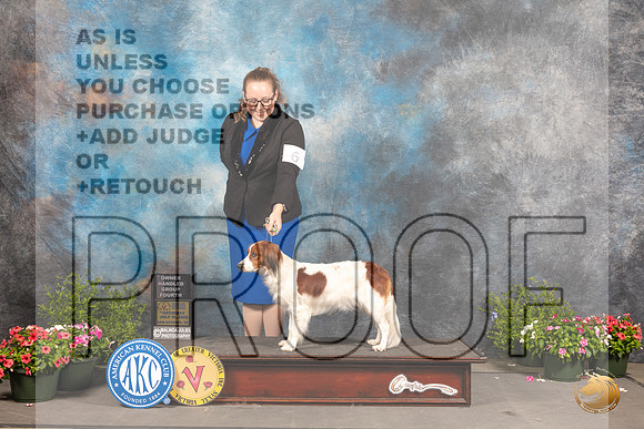 Nederlandse Koikerhondje #6 Sat OHG4 Judge Anne Bolus_MJ_0521_SA_2022_HR3