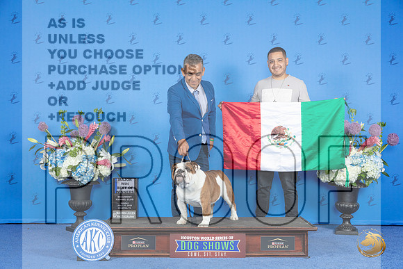Bulldog #23 SUN BOW M Judge Douglas Johnson__JP_0178_Houston_2024_HR3