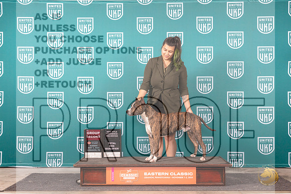 American Pit Bull Terrier #179 Sun G2 Judge Keith Kozaklewicz__JP_2291_UKCEastern_2024_HR3