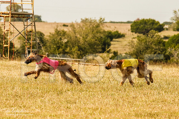 _MJ_5937-AfgBeltonOct2014-HR3