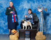 Pugs #7 Fri RBiS Ratliff Kristy Kevin Judge Mrs Carolyn A Herbel
