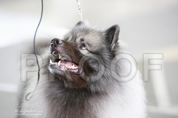 _JJ_0520-DallasJul2014-HR3