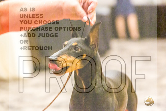 Manchester Terrier MTOY Candids-JJL_2292-Hstn2022_HR3