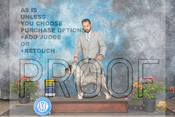 Standard Schnauzers #12 Sun G3 Judge Karen McFarlane__JP_6311_San Antonio_2024_HR3