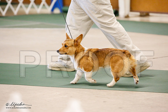_JN_1742-NrmnNov2014-HR3