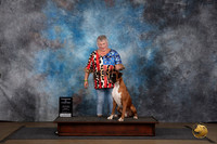 Boxer #471 Sun Champ of champ Judge Chandra Martin