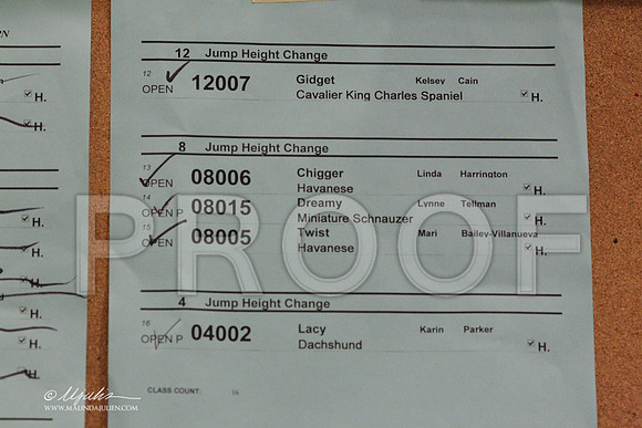 Jo12Sn-9177LR