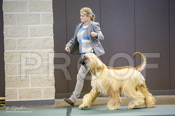 _JN_3717-BeltonJan2015-HR3