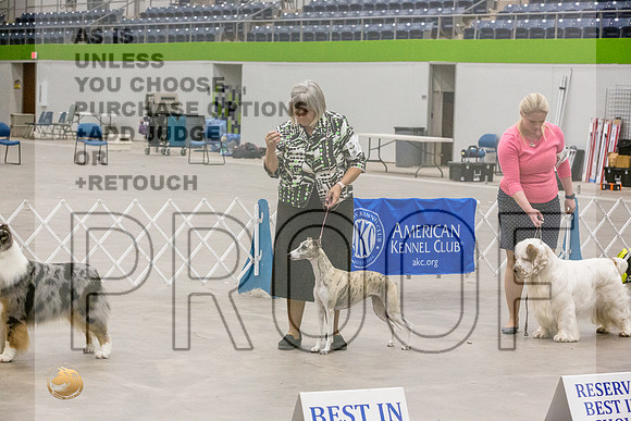 *Best in Show Sat Ring-JJL_0472-Abilene2022-HR3