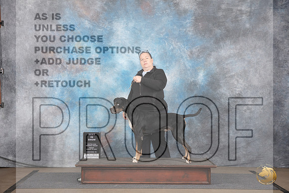 LCLD #BR549 Fri BIS Judge Malinda Julien__JP_2435_LongviewTX_2024_HR3