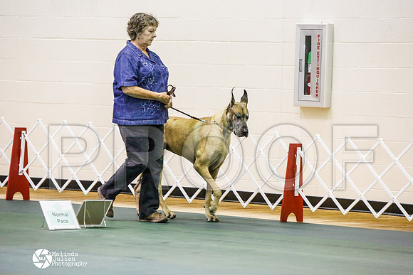 _JJ_3578-BsrCtyJun2014-HR3