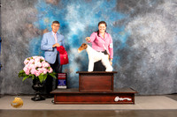 Wirehaired Fox Terrier #5 Thur G2 Judge Richard Powell