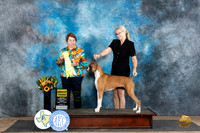 Boxer #12 Fri G3 Judge Sandra Walker