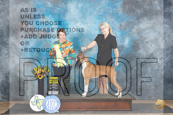 Boxer #12 Fri G3 Judge Sandra Walker__JP_9518_Abilene_2024_HR3