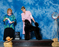 Poodles Standard #6 Sun BOW NC Maj Lumpkin Mary Judge Ms Betty Nelson Pollock