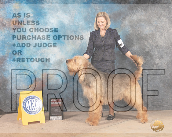 Otterhound #5 Sun G2 Judge Lori Nelson-MMJ_4931-Abilene2022-HR3