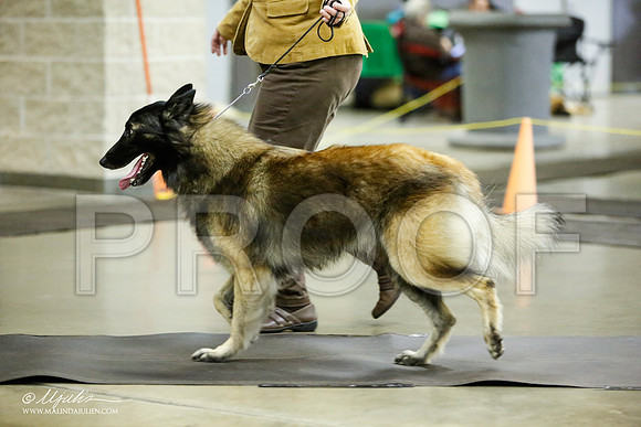 _JJ_6140-BeltonJan2015IABCA-HR3