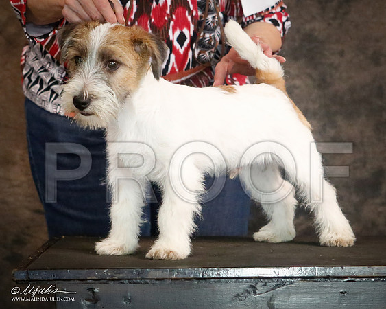 JRT-9381-CntnOct13-HR