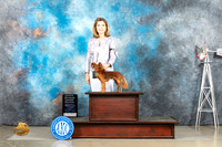 Russian Toy #5 Sun OHG2 Judge Joan Liebes