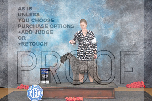 Kerry Blue Terrier #7 Sat G1 Judge Pat Trotter__JP_0340_Sulphur Springs_2024_HR3