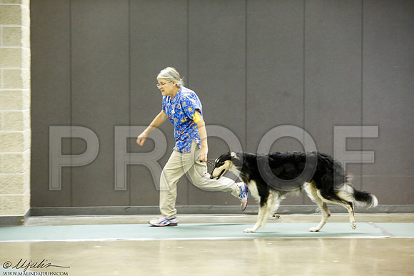_J3L8881-BeltSep2014-HR