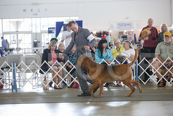_JJ_3390-DallasJul2014-HR3
