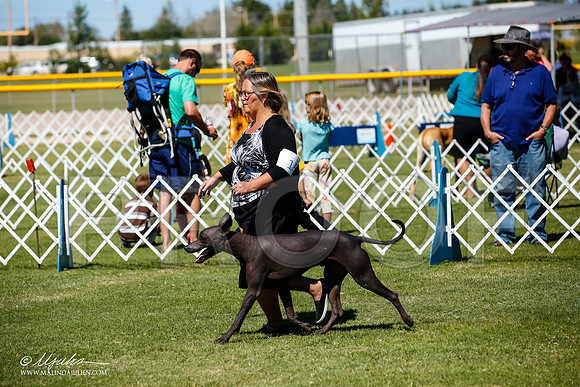 _JJ_8183-AlamogordoOct2014-HR3