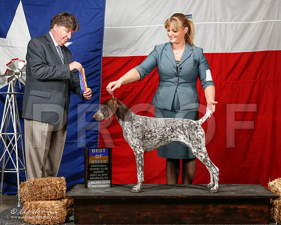 _ST_2026-2-AmarilloSep2014-HR3