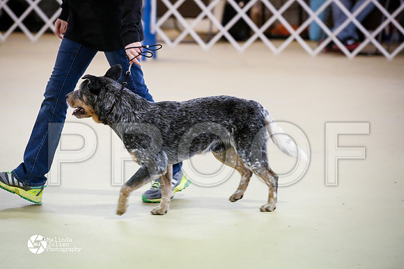 ACD-7591-HtoJan14-HR