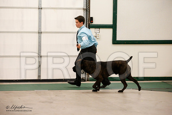 _JN_0688-NrmnNov2014-HR3